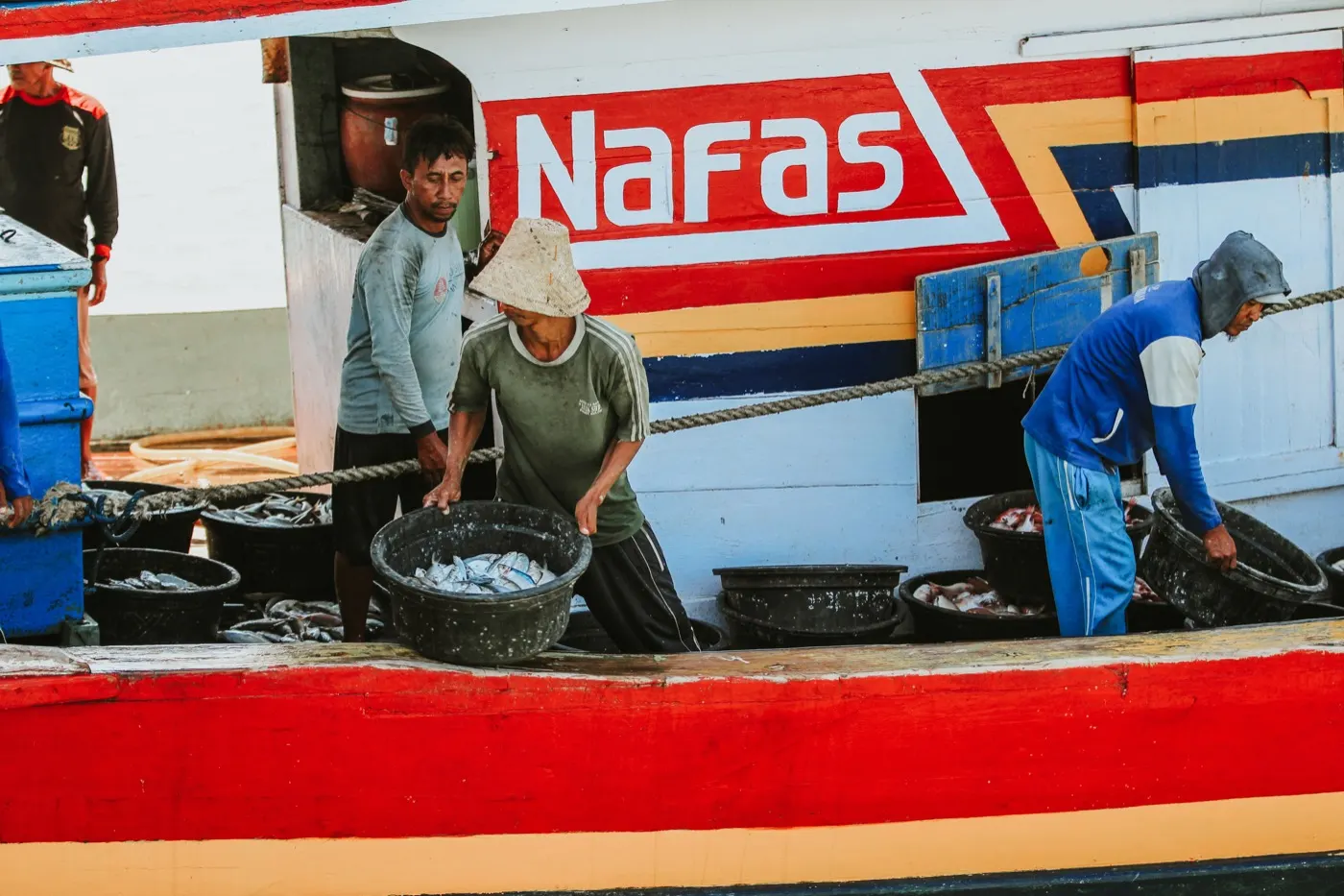 Nelayan di Jawa Timur menyusun hasil tangkapan di atas bot